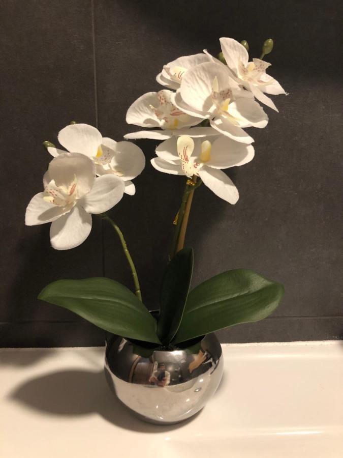 Apartament Chopina Lomianki Bagian luar foto